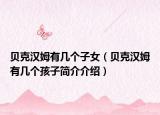 贝克汉姆有几个子女（贝克汉姆有几个孩子简介介绍）