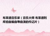 布莱德音乐家（音乐大师 布莱德利库珀自编自导自演的传记片）