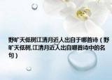 野旷天低树江清月近人出自于哪首诗（野旷天低树,江清月近人出自哪首诗中的名句）