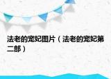 法老的宠妃图片（法老的宠妃第二部）