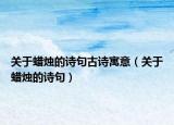 关于蜡烛的诗句古诗寓意（关于蜡烛的诗句）