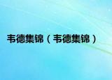 韦德集锦（韦德集锦）