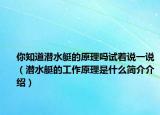 你知道潜水艇的原理吗试着说一说（潜水艇的工作原理是什么简介介绍）