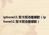 iphone11 双卡双待是哪款（iphone11 双卡双待是哪款）