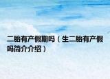 二胎有产假期吗（生二胎有产假吗简介介绍）
