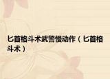 匕首格斗术武警慢动作（匕首格斗术）