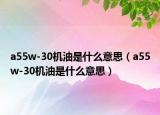 a55w-30机油是什么意思（a55w-30机油是什么意思）