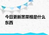 今日更新苤菜根是什么东西