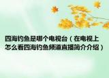 四海钓鱼是哪个电视台（在电视上怎么看四海钓鱼频道直播简介介绍）