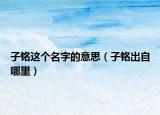 子铭这个名字的意思（子铭出自哪里）