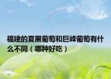 福建的夏黑葡萄和巨峰葡萄有什么不同（哪种好吃）