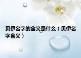 贝伊名字的含义是什么（贝伊名字含义）