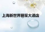 上海新世界丽笙大酒店