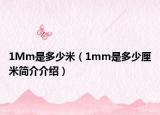1Mm是多少米（1mm是多少厘米简介介绍）