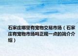石家庄哪里有宠物交易市场（石家庄有宠物市场吗正规一点的简介介绍）