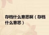 存档什么意思啊（存档什么意思）