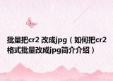 批量把cr2 改成jpg（如何把cr2格式批量改成jpg简介介绍）