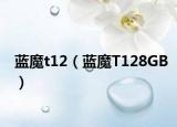蓝魔t12（蓝魔T128GB）