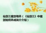 仙剑三魔剑培养（《仙剑三》中魔剑如何养成简介介绍）