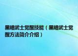 黑暗武士觉醒技能（黑暗武士觉醒方法简介介绍）