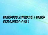 绿爪多肉怎么养出状态（绿爪多肉怎么养简介介绍）