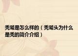 秃鹫是怎么样的（秃鹫头为什么是秃的简介介绍）