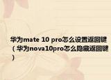 华为mate 10 pro怎么设置返回键（华为nova10pro怎么隐藏返回键）