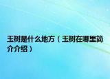 玉树是什么地方（玉树在哪里简介介绍）
