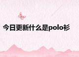 今日更新什么是polo衫