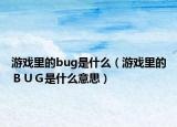 游戏里的bug是什么（游戏里的ＢＵＧ是什么意思）