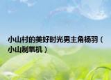 小山村的美好时光男主角杨羽（小山制氧机）