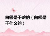 白领是干啥的（白领是干什么的）