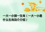 一大一小猜一生肖（一大一小是什么生肖简介介绍）