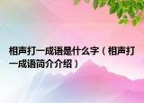 相声打一成语是什么字（相声打一成语简介介绍）
