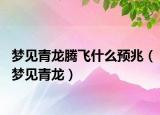 梦见青龙腾飞什么预兆（梦见青龙）