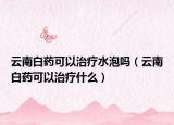 云南白药可以治疗水泡吗（云南白药可以治疗什么）