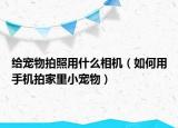 给宠物拍照用什么相机（如何用手机拍家里小宠物）