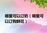 哪里可以订奶（哪里可以订购鲜花）