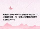 离离原上草一岁一枯荣这句诗的名字是什么（\