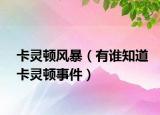 卡灵顿风暴（有谁知道卡灵顿事件）