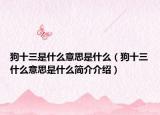 狗十三是什么意思是什么（狗十三什么意思是什么简介介绍）