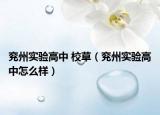 兖州实验高中 校草（兖州实验高中怎么样）
