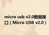 micro usb v2.0数据接口（Micro USB v2.0）