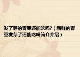 发了芽的青豆还能吃吗?（新鲜的青豆发芽了还能吃吗简介介绍）