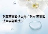 刘革西南政法大学（刘彬 西南政法大学副教授）