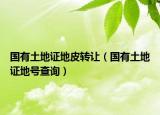 国有土地证地皮转让（国有土地证地号查询）
