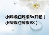 小辣椒红辣椒8x开箱（小辣椒红辣椒9X）