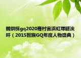 鏅烘棌gq2020骞村害浜虹墿鐩涘吀（2015智族GQ年度人物盛典）
