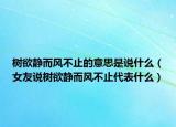 树欲静而风不止的意思是说什么（女友说树欲静而风不止代表什么）