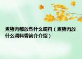 煮猪肉都放些什么调料（煮猪肉放什么调料香简介介绍）